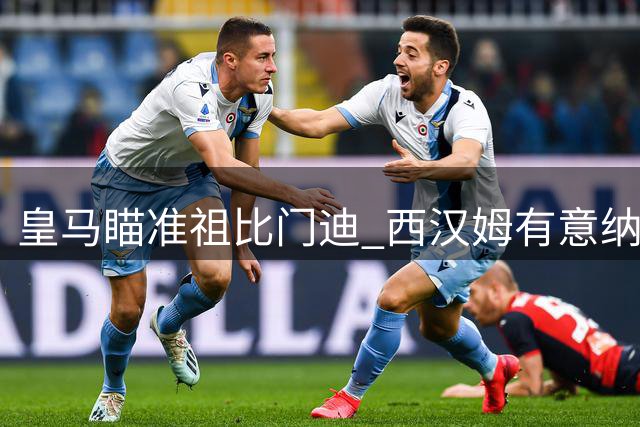 皇马瞄准祖比门迪 西汉姆有意纳尔逊